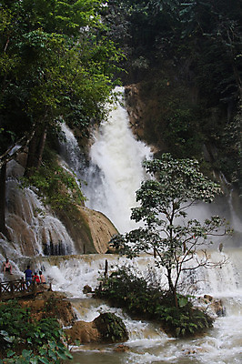 포토 JPG 주간 나무 식물 해외풍경 해외 아시아 자연 사람 풍경 야외 계곡 폭포 숲 라오스 국내포토 자연요소 나라 생태계 파일형식
