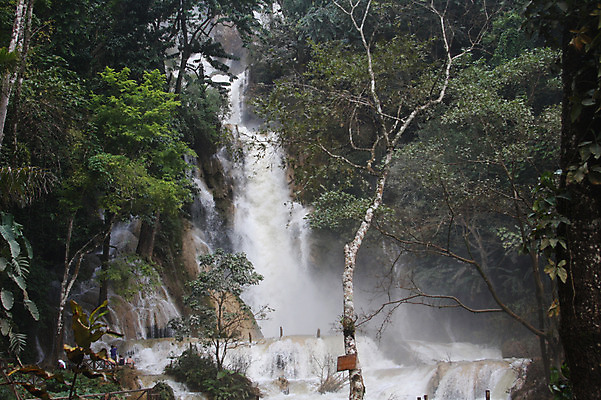 포토 JPG 주간 나무 식물 해외풍경 해외 아시아 자연 사람 풍경 야외 계곡 폭포 숲 라오스 국내포토 자연요소 나라 생태계 파일형식