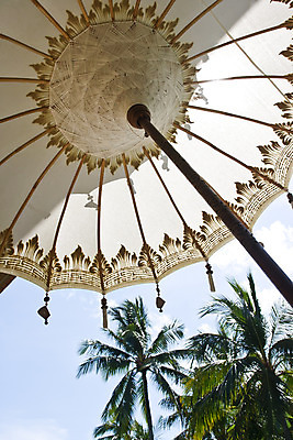 포토 JPG 주간 나무 식물 구름 해외풍경 해외 아시아 로우앵글 하늘 풍경 사람없음 야외 야자수 맑음 파라솔 휴양지 발리 인도네시아 국내포토 자연요소 나라 뷰포인트 섬 날씨 장소 파일형식