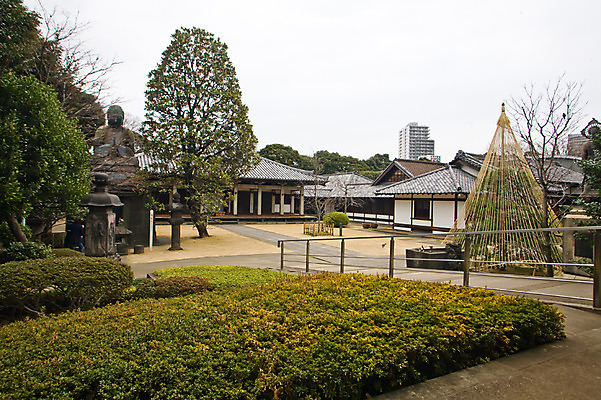 포토 JPG 주간 나무 식물 해외풍경 해외 건축물 건축 아시아 종교 고건축 풍경 사람없음 야외 건물 정원 일본 고요 사찰 사원 불상 일본건축 사당 신사_일본건축 국내포토 자연요소 나라 불교 비즈니스 종교건축 동양건축 파일형식
