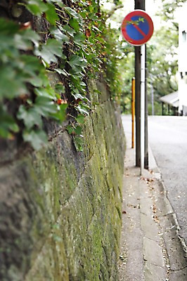 포토 JPG 주간 해외풍경 해외 아시아 도로 길 거리 돌담 거리풍경 이끼 풍경 사람없음 야외 아웃포커스 담장 일본 팻말 표지판 담쟁이덩굴 전봇대 요코하마 국내포토 자연요소 공공시설 나라 교통시설 프레임 알림판 촬영기법 돌_바위 덩굴 파일형식