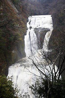 포토 JPG 주간 나무 식물 해외풍경 해외 아시아 자연 물줄기 풍경 사람없음 야외 물 계곡 일본 폭포 흐름 나뭇가지 큼 이바라키 국내포토 자연요소 나라 컨셉 크기 생태계 파일형식
