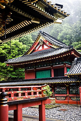 포토 JPG 주간 나무 해외풍경 해외 건축물 아시아 로우앵글 고건축 지붕 산 풍경 사람없음 야외 일본 사찰 사원 숲속 숲 처마 일본건축 도카이 국내포토 자연요소 식물 건축 나라 뷰포인트 비즈니스 종교건축 동양건축 파일형식