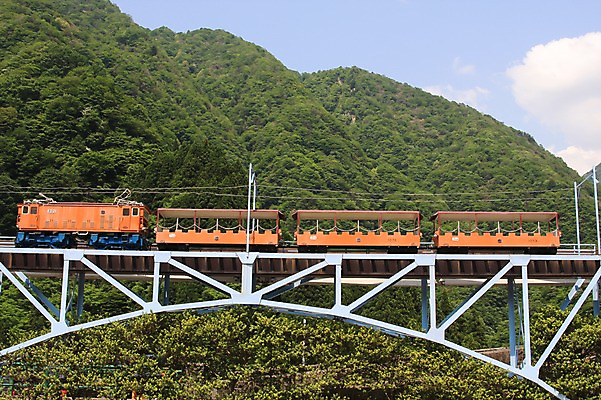 포토 JPG 주간 나무 식물 해외풍경 해외 아시아 로우앵글 자연 하늘 풍경 사람없음 야외 골짜기 계곡 일본 기찻길 기차 숲속 숲 도야마 철도의날 국내포토 자연요소 나라 육상교통 뷰포인트 대중교통 생태계 파일형식 법정기념일