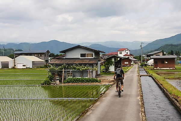 포토 JPG 주간 식물 해외풍경 해외 남자 아시아 도로 길 교통수단 이동 고건축 일본문화 주택 논 한명 사람 풍경 성인 야외 건물 뒷모습 농경지 마을 일본 자전거 농촌 승차 수로 도야마 남자만 남자한명만 성인남자만 성인만 국내포토 자연요소 1 동양문화 건축물 나라 뷰포인트 외국문화 교통 컨셉 농업 교통시설 모션 농장 바이크 시골 파일형식