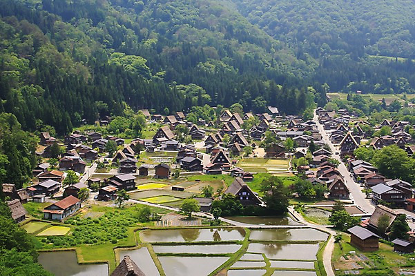 포토 JPG 주간 나무 식물 해외풍경 해외 아시아 고건축 일본문화 주택 논 풍경 사람없음 야외 건물 하이앵글 농경지 마을 일본 농촌 숲속 숲 도야마 국내포토 자연요소 동양문화 건축물 나라 뷰포인트 외국문화 농업 농장 시골 파일형식