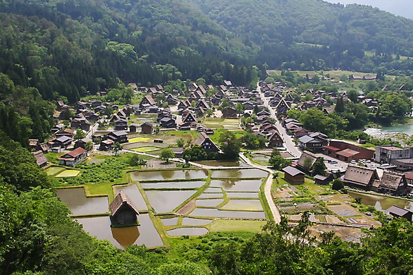 포토 JPG 주간 나무 식물 해외풍경 해외 아시아 고건축 일본문화 주택 논 풍경 사람없음 야외 건물 하이앵글 농경지 마을 일본 농촌 숲속 숲 도야마 국내포토 자연요소 동양문화 건축물 나라 뷰포인트 외국문화 농업 농장 시골 파일형식