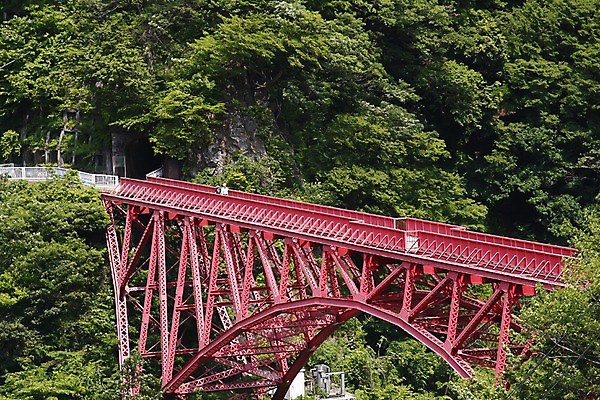 포토 JPG 주간 나무 식물 해외풍경 해외 여자 남자 아시아 이동 난간 자연 사람 풍경 야외 두명 걷기 골짜기 계곡 일본 산책 숲속 숲 철망 도야마 가교 국내포토 자연요소 건축물 나라 컨셉 모션 휴식 생태계 파일형식