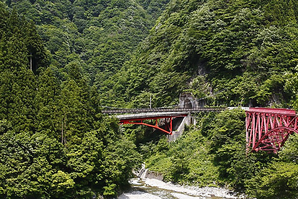 포토 JPG 주간 나무 식물 해외풍경 해외 아시아 난간 자연 풍경 사람없음 야외 골짜기 계곡 일본 터널 숲속 숲 철망 도야마 가교 국내포토 자연요소 건축물 나라 길 생태계 파일형식