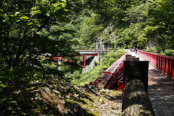포토 JPG 주간 나무 식물 해외풍경 해외 아시아 이동 난간 자연 사람 풍경 야외 걷기 일본 산책 등산 숲속 숲 그늘 철망 도야마 가교 국내포토 자연요소 건축물 나라 컨셉 모션 휴식 트래킹 생태계 파일형식