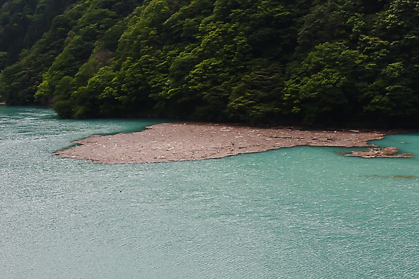 포토 JPG 주간 나무 식물 해외풍경 해외 아시아 자연 산 풍경 사람없음 야외 물 강 일본 흐름 수면 숲속 숲 도야마 강줄기 국내포토 자연요소 나라 컨셉 생태계 파일형식