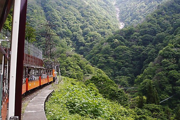 포토 JPG 주간 나무 식물 해외풍경 해외 아시아 여행 자연 사람 앉기 풍경 여러명 야외 여행객 골짜기 계곡 일본 기찻길 기차 풀 숲속 숲 구경 관람 도야마 철도의날 국내포토 자연요소 나라 육상교통 다수 모션 대중교통 생태계 파일형식 법정기념일