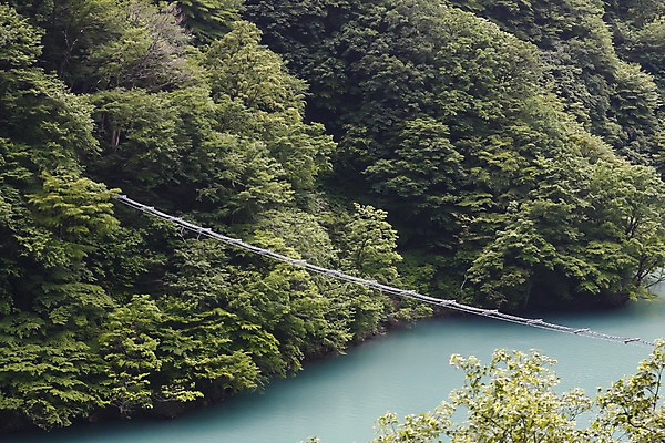 포토 JPG 주간 나무 식물 해외풍경 해외 아시아 밧줄 자연 산 풍경 사람없음 야외 물 강 일본 숲 도야마 강줄기 가교 국내포토 자연요소 건축물 나라 줄 생태계 파일형식
