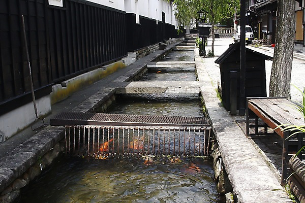 포토 JPG 주간 나무 해외풍경 해외 건축물 아시아 벤치 의자 거리 주택 거리풍경 어류 풍경 사람없음 야외 강 도시풍경 일본 도시 수로 철망 도야마 잉어 국내포토 자연요소 식물 건축 나라 가구 건물 수중동물 파일형식