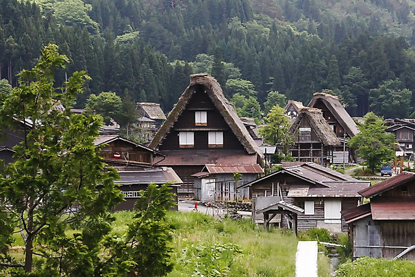포토 JPG 주간 나무 식물 해외풍경 해외 건축물 아시아 고건축 일본문화 자연 산 주택 풍경 사람없음 야외 건물 마을 일본 숲속 숲 이층집 도야마 국내포토 자연요소 동양문화 건축 나라 외국문화 생태계 파일형식