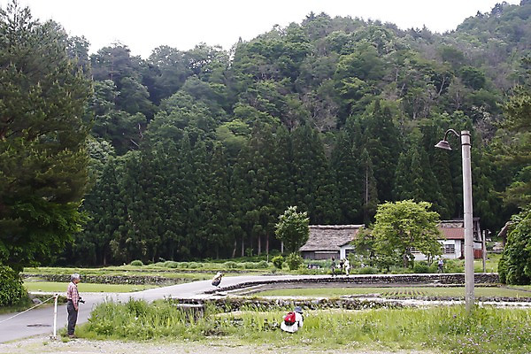 포토 JPG 주간 나무 식물 해외풍경 해외 할아버지 노년 아시아 가로등 자연 주택 사람 풍경 여러명 야외 건물 마을 일본 사진촬영 농촌 시골 풀 잡초 숲 전봇대 도야마 남자만 성인남자만 노인만 성인만 노인남자만 국내포토 자연요소 건축물 공공시설 남자 나라 다수 성인 촬영 생태계 파일형식