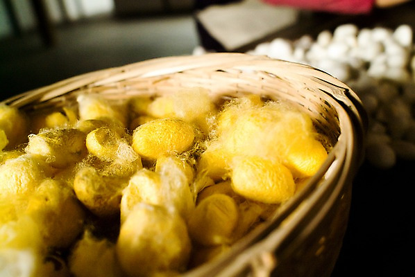 포토 JPG 주간 해외 아시아 탁자 실내 밝음 사람없음 아웃포커스 노란색 바구니 중국 작업 오브젝트 담기 손질 누에 구분 명주실 작업대 국내포토 자연요소 나라 컬러 가구 모션 촬영기법 내부 파일형식