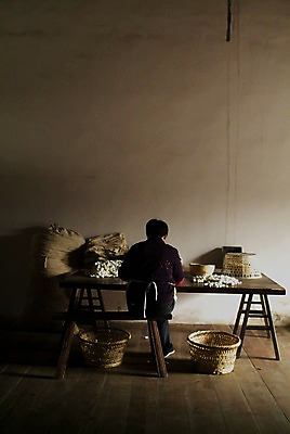 포토 JPG 주간 해외풍경 해외 아시아 의자 공장 탁자 실내 사람 앉기 풍경 손짓 성인 뒷모습 바구니 중국 작업 작업실 작업장 주머니 보따리 누에 명주실 작업대 성인만 국내포토 자연요소 나라 산업 뷰포인트 가구 공업 모션 내부 파일형식