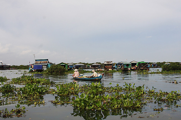 포토 JPG 주간 외국인 해외풍경 해외 아시아 고건축 수상교통 주택 사람 동양인 풍경 성인 야외 두명 뒷모습 물 강 반사 마을 숲 캄보디아 수상가옥 흐림 수상시장 선박 성인만 국내포토 자연요소 건축물 나라 교통수단 뷰포인트 날씨 인종 건물 시장 파일형식