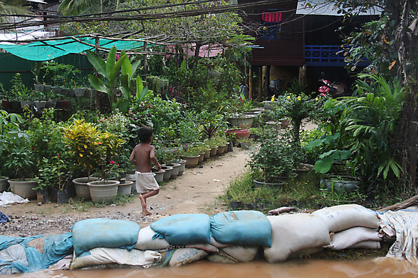 포토 JPG 주간 식물 해외풍경 해외 남자 아시아 화분 어린이 주택 한명 사람 동양인 풍경 소년 야외 건물 뒷모습 물 마을 홍수 캄보디아 모래주머니 수해 남자만 남자한명만 어린이만 소년만 소년한명만 국내포토 자연요소 1 건축물 나라 뷰포인트 인종 자연재해 파일형식