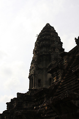 포토 JPG 주간 식물 해외풍경 해외 건축물 아시아 종교 벽 로우앵글 불교 건축양식 유적지 석조 이끼 외벽 풍경 사람없음 야외 관광지 탑 돌_바위 빈티지 사찰 사원 풀 캄보디아 앙코르와트 브라만교 국내포토 자연요소 건축 나라 뷰포인트 여행 컨셉 고건축 비즈니스 종교건축 파일형식