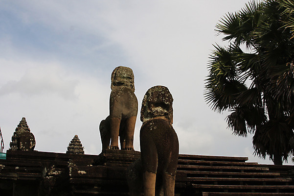 포토 JPG 주간 나무 해외풍경 해외 건축물 아시아 종교 로우앵글 불교 건축양식 유적지 석조 이끼 풍경 사람없음 야외 관광지 조각상 돌_바위 빈티지 사찰 사원 캄보디아 앙코르와트 브라만교 사자상 국내포토 자연요소 식물 건축 나라 뷰포인트 여행 컨셉 고건축 비즈니스 종교건축 조형물 파일형식