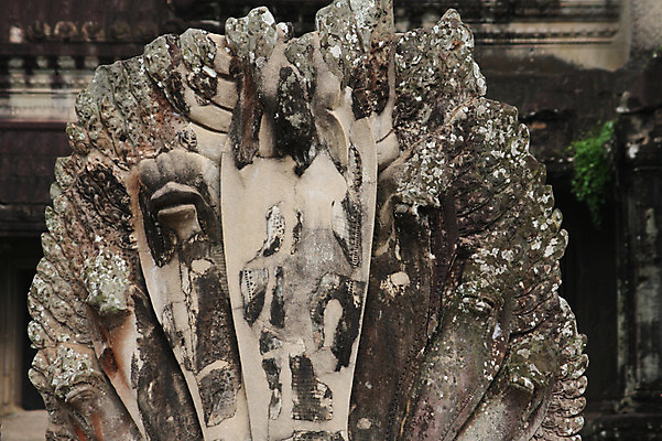 포토 JPG 주간 해외풍경 해외 건축물 아시아 건축양식 유적지 코끼리 석조 이끼 풍경 사람없음 야외 관광지 조각상 빈티지 사찰 사원 캄보디아 앙코르와트 국내포토 자연요소 건축 나라 여행 컨셉 고건축 포유류 종교건축 조형물 파일형식