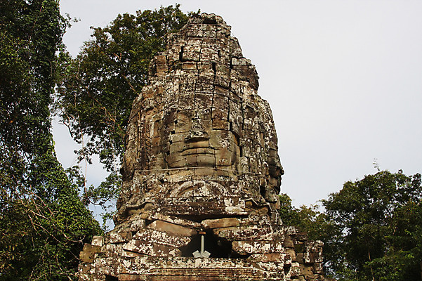 포토 JPG 주간 나무 식물 해외풍경 해외 건축물 아시아 종교 벽 로우앵글 불교 건축양식 유적지 석조 이끼 외벽 풍경 사람없음 야외 관광지 조각상 탑 돌_바위 빈티지 사찰 사원 캄보디아 앙코르와트 브라만교 국내포토 자연요소 건축 나라 뷰포인트 여행 컨셉 고건축 비즈니스 종교건축 조형물 파일형식