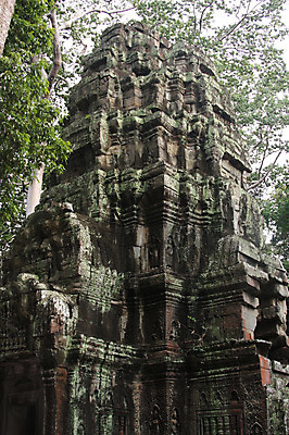 포토 JPG 주간 나무 식물 해외풍경 해외 건축물 아시아 종교 벽 로우앵글 불교 건축양식 유적지 석조 이끼 외벽 풍경 사람없음 야외 관광지 탑 돌_바위 빈티지 사찰 사원 캄보디아 앙코르와트 브라만교 국내포토 자연요소 건축 나라 뷰포인트 여행 컨셉 고건축 비즈니스 종교건축 파일형식