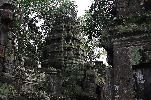 포토 JPG 주간 나무 식물 해외풍경 해외 건축물 아시아 종교 벽 로우앵글 불교 건축양식 유적지 석조 이끼 외벽 풍경 사람없음 야외 관광지 탑 돌_바위 빈티지 사찰 사원 캄보디아 앙코르와트 브라만교 국내포토 자연요소 건축 나라 뷰포인트 여행 컨셉 고건축 비즈니스 종교건축 파일형식