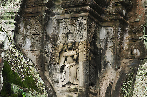 포토 JPG 주간 식물 해외풍경 해외 건축물 아시아 종교 벽 조각 불교 건축양식 유적지 석조 이끼 외벽 미술 풍경 사람없음 야외 관광지 돌_바위 빈티지 사찰 사원 캄보디아 부조 앙코르와트 브라만교 조각_조소 국내포토 자연요소 건축 나라 여행 컨셉 고건축 비즈니스 종교건축 문화예술 조소 파일형식