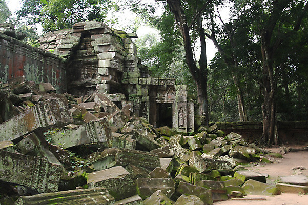 포토 JPG 주간 나무 식물 해외풍경 해외 건축물 아시아 종교 벽 불교 건축양식 유적지 석조 이끼 외벽 풍경 사람없음 야외 관광지 돌_바위 빈티지 사찰 사원 캄보디아 붕괴 앙코르와트 브라만교 무너짐 국내포토 자연요소 건축 나라 여행 컨셉 고건축 비즈니스 종교건축 모션 파일형식
