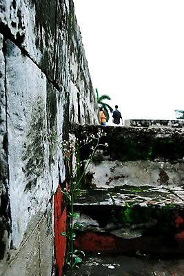 포토 JPG 주간 식물 해외 건축물 아시아 돌담 석조 이끼 세부 필리핀 외벽 풍경 야외 아웃포커스 관광지 여행객 계단 빈티지 성 산페트로요새 국내포토 자연요소 건축 나라 벽 여행 컨셉 촬영기법 사람 담장 동남아시아 돌_바위 파일형식