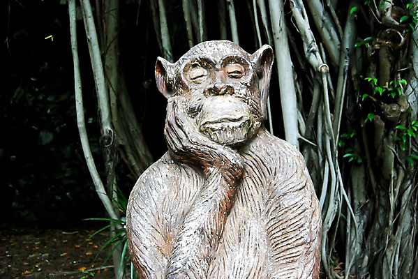 포토 JPG 주간 나무 식물 동물 해외풍경 해외 아시아 문화 예술 세부 필리핀 풍경 사람없음 야외 아웃포커스 조각상 원숭이 숲속 국내포토 자연요소 나라 포유류 촬영기법 조형물 동남아시아 숲 파일형식