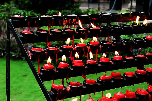 포토 JPG 주간 해외풍경 해외 아시아 섬 초 촛불 세부 필리핀 풍경 잔디 사람없음 야외 아웃포커스 관광지 성당 교회 여러개 기도 진열장 휴양지 소원 연소 산토리뇨 촛농 국내포토 자연요소 식물 나라 여행 다수 종교건축 촬영기법 건물 동남아시아 장소 파일형식