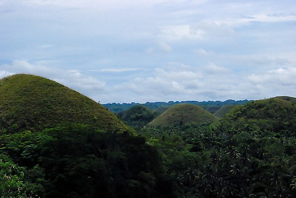 포토 JPG 주간 나무 식물 구름 해외풍경 아시아 섬 자연 하늘 필리핀 풍경 사람없음 야외 관광지 맑음 풀 숲 언덕 휴양지 봉우리 지형 보홀 석회암 초콜릿힐 국내포토 자연요소 해외 나라 여행 날씨 동남아시아 장소 암석 생태계 파일형식