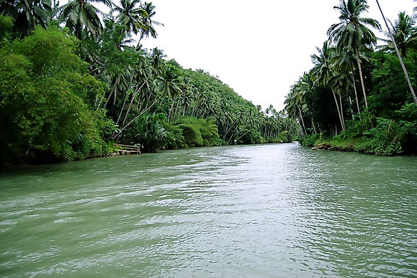 포토 JPG 주간 나무 해외풍경 해외 아시아 섬 자연 하늘 필리핀 풍경 사람없음 야외 물 강 야자수 평화 원근감 수면 숲 휴양지 로복강 보홀 국내포토 자연요소 식물 나라 뷰포인트 컨셉 동남아시아 장소 생태계 파일형식