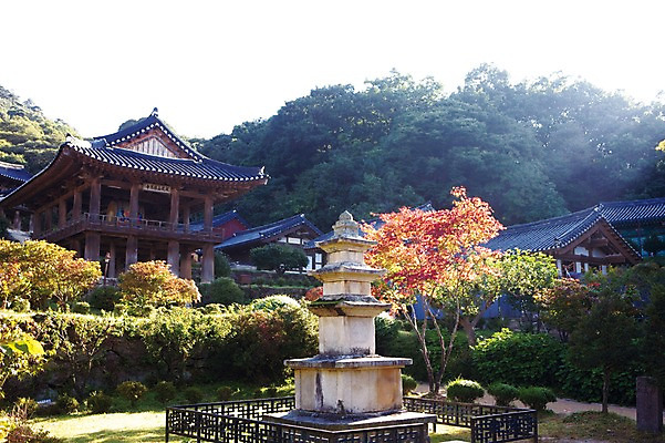 포토 JPG 주간 나무 식물 아시아 한국 풍경 사람없음 야외 건물 탑 사찰 석탑 영주 국내포토 자연요소 건축물 나라 종교건축 경상북도 파일형식