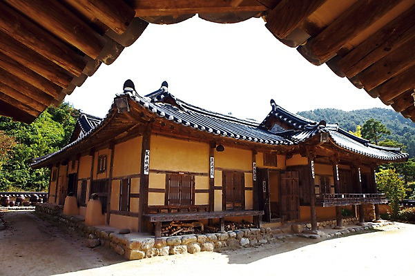 포토 JPG 주간 나무 식물 아시아 고건축 지붕 풍경 사람없음 야외 건물 선비촌 영주 국내포토 자연요소 한국전통 건축물 나라 경상북도 파일형식