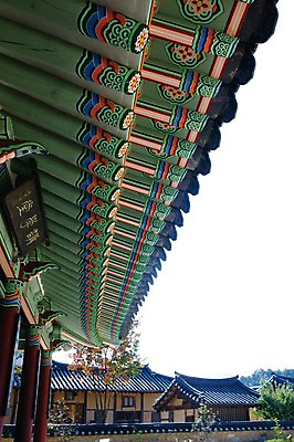 포토 JPG 주간 나무 식물 아시아 고건축 풍경 사람없음 야외 건물 기와지붕 선비촌 영주 국내포토 자연요소 한국전통 건축물 나라 지붕 기와 경상북도 파일형식