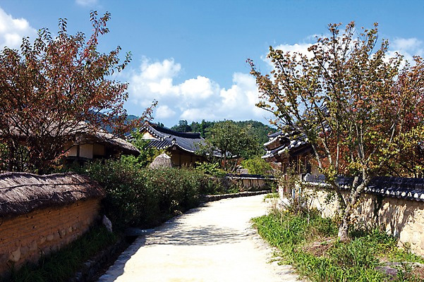 포토 JPG 주간 나무 식물 구름 아시아 길 고건축 자연 하늘 풍경 사람없음 야외 건물 선비촌 영주 국내포토 자연요소 한국전통 건축물 나라 경상북도 생태계 파일형식