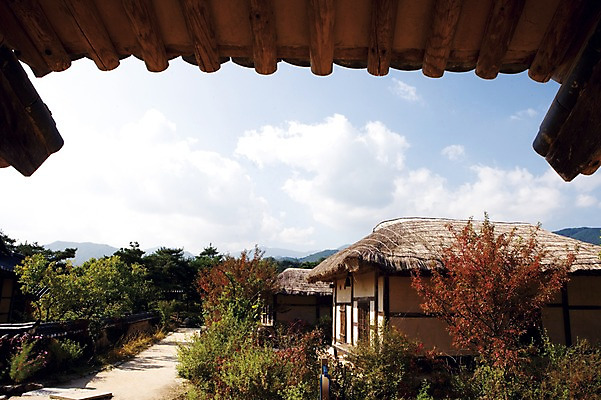 포토 JPG 주간 나무 식물 아시아 고건축 초가집 풍경 사람없음 야외 건물 선비촌 영주 국내포토 자연요소 한국전통 건축물 나라 한옥 경상북도 파일형식