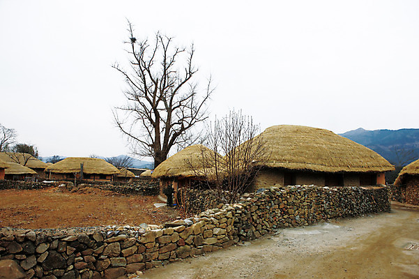 포토 JPG 주간 나무 식물 아시아 자연 주택 한국 돌담 초가집 풍경 사람없음 야외 건물 순천 국내포토 자연요소 건축물 나라 한옥 담장 돌_바위 전라남도 생태계 파일형식
