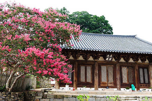 포토 JPG 주간 나무 식물 꽃 아시아 고건축 자연 한국 풍경 사람없음 야외 건물 김제 국내포토 자연요소 건축물 나라 생태계 파일형식