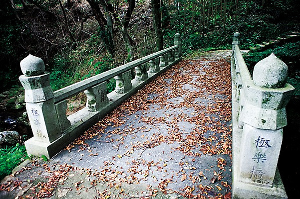 포토 JPG 주간 나무 식물 시설물 건축물 아시아 한국 풍경 사람없음 야외 김제 가교 국내포토 자연요소 건축 나라 파일형식