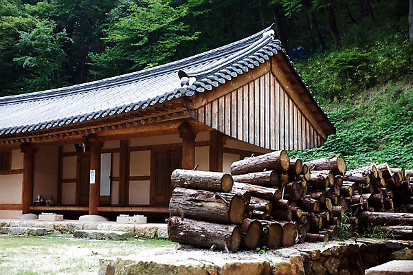 포토 JPG 주간 나무 식물 아시아 고건축 한국 풍경 사람없음 야외 건물 숲 장작 김제 국내포토 자연요소 건축물 나라 파일형식