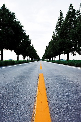 포토 JPG 주간 나무 식물 아시아 도로 로우앵글 한국 풍경 사람없음 야외 김제 차선_도로 국내포토 자연요소 나라 길 뷰포인트 교통시설 파일형식