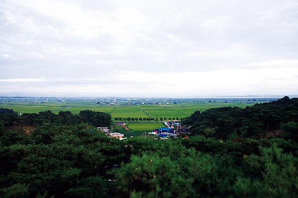 포토 JPG 주간 나무 식물 아시아 자연 한국 풍경 초원 사람없음 야외 건물 지평선 김제 국내포토 자연요소 건축물 나라 생태계 파일형식