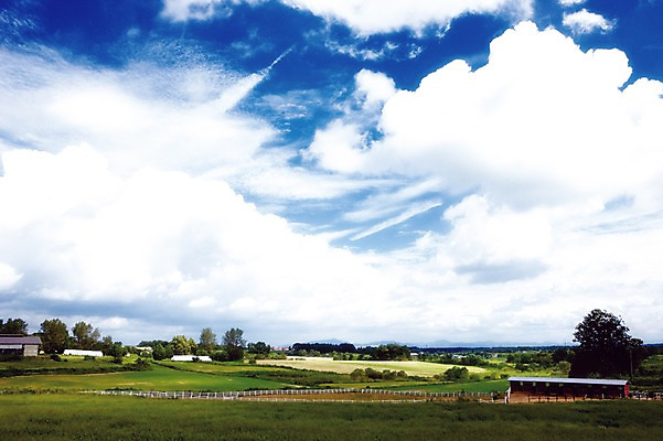 포토 JPG 주간 나무 식물 구름 아시아 자연 하늘 한국 풍경 초원 사람없음 야외 건물 김제 국내포토 자연요소 건축물 나라 생태계 파일형식