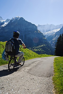 포토 JPG 주간 서양인 외국인 나무 식물 해외풍경 해외 유럽 길 자연 산 한명 사람 풍경 야외 자전거 스위스 바이킹 국내포토 자연요소 1 나라 인종 바이크 생태계 파일형식